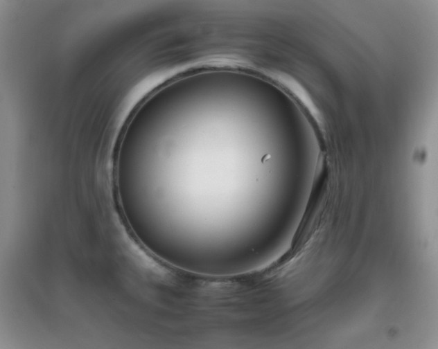 X0000096961335200802081222