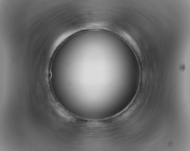 X0000096961336200802081222
