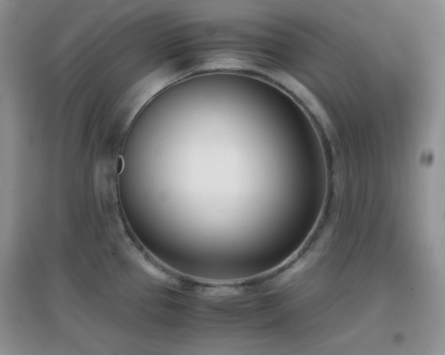 X0000096961337200802081222