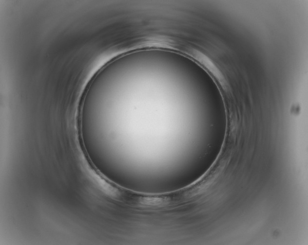 X0000096961339200802081222