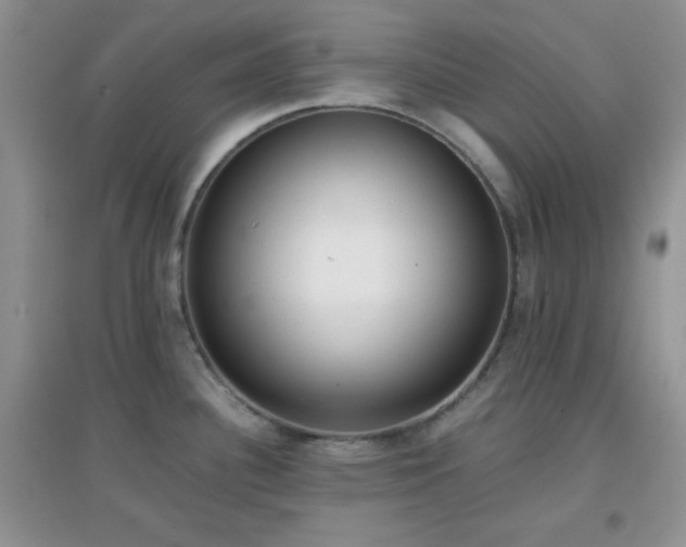 X0000096961340200802081222