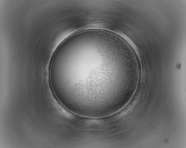 X0000096961341200802081222