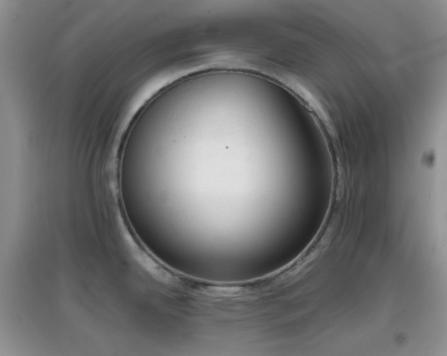 X0000096961342200802081222