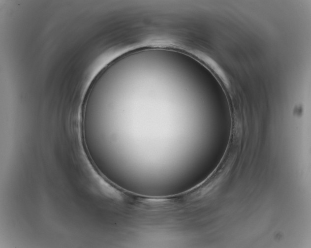 X0000096961343200802081222