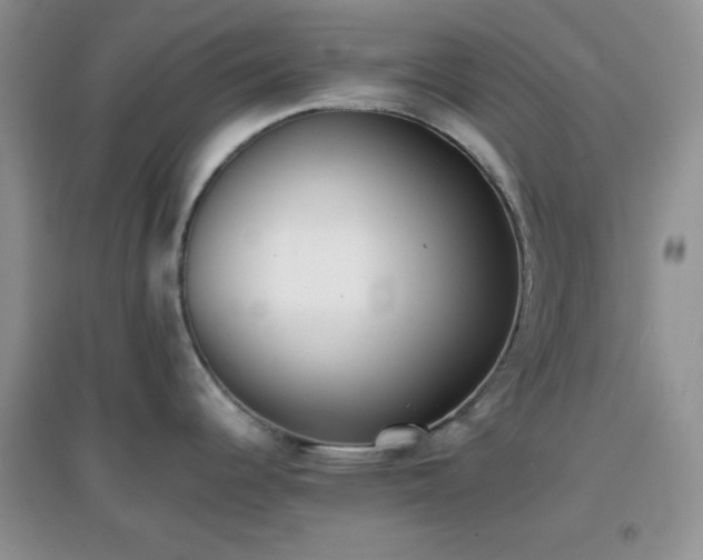 X0000096961344200802081222