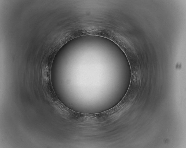 X0000096961346200802081221