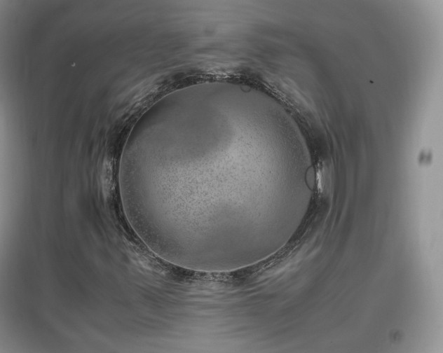 X0000096961347200802081221