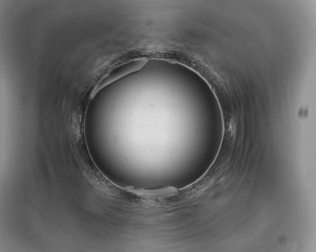 X0000096961348200802081221