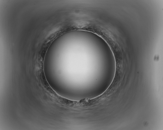 X0000096961349200802081221