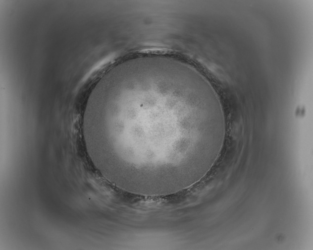 X0000096961351200802081221