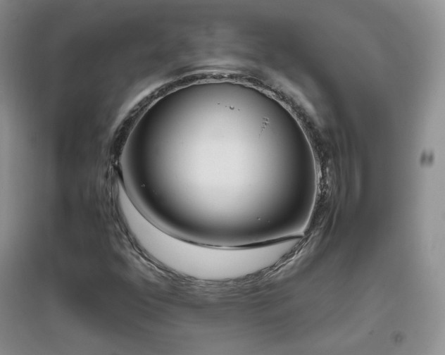 X0000096961352200802081221