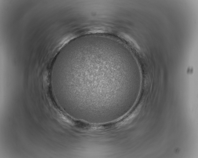 X0000096961353200802081221