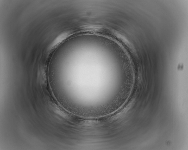X0000096961354200802081221