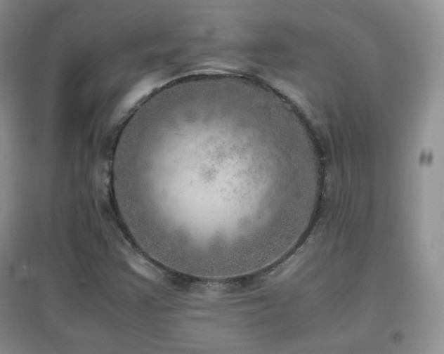 X0000096961355200802081221