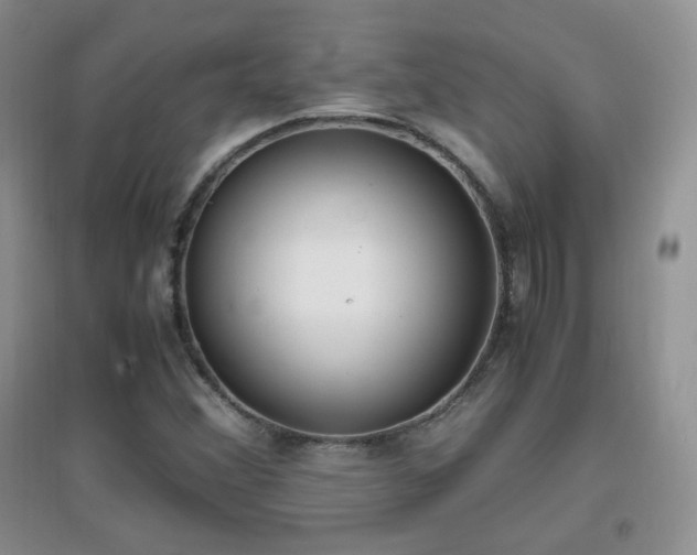 X0000096961356200802081221