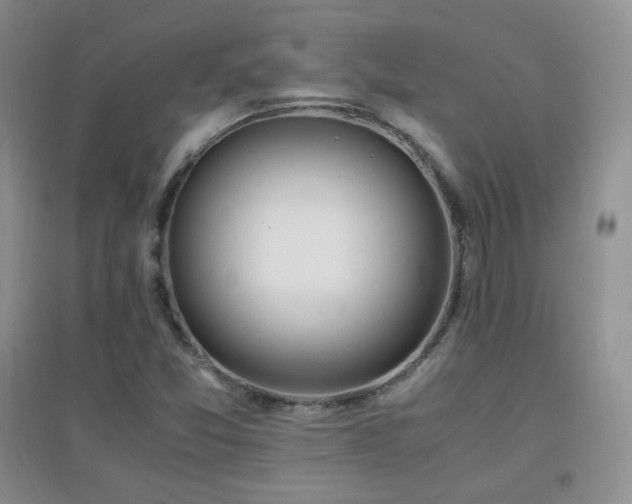 X0000096961357200802081221