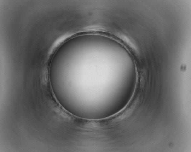 X0000096961358200802081221