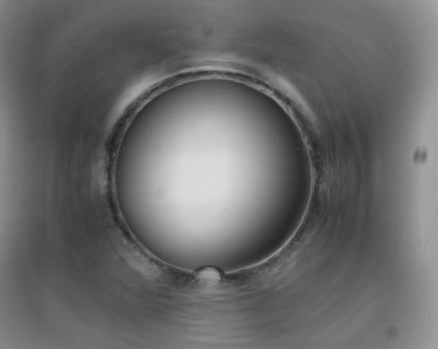 X0000096961360200802081221