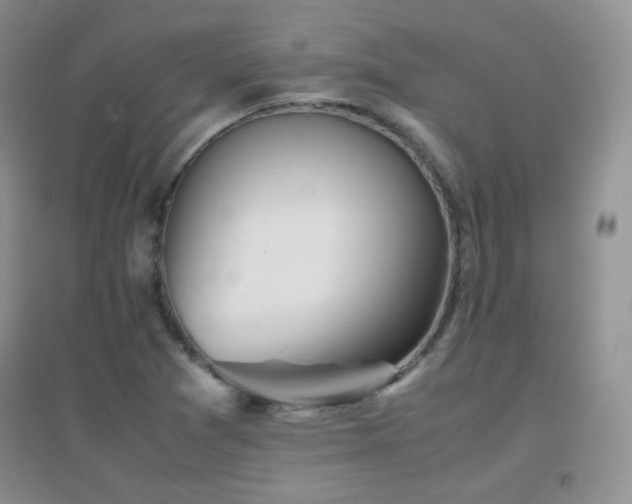 X0000096961361200802081221