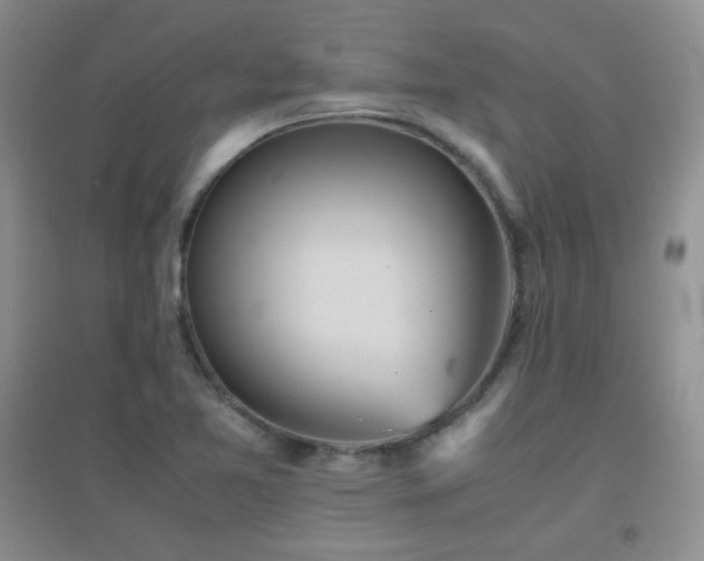 X0000096961365200802081221