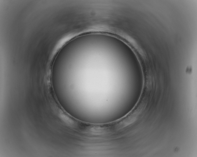 X0000096961366200802081221