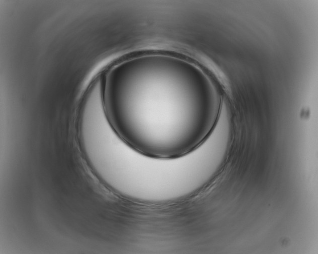 X0000096961368200802081221