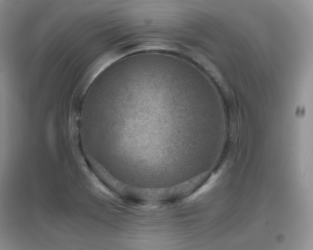 X0000096961369200802081221