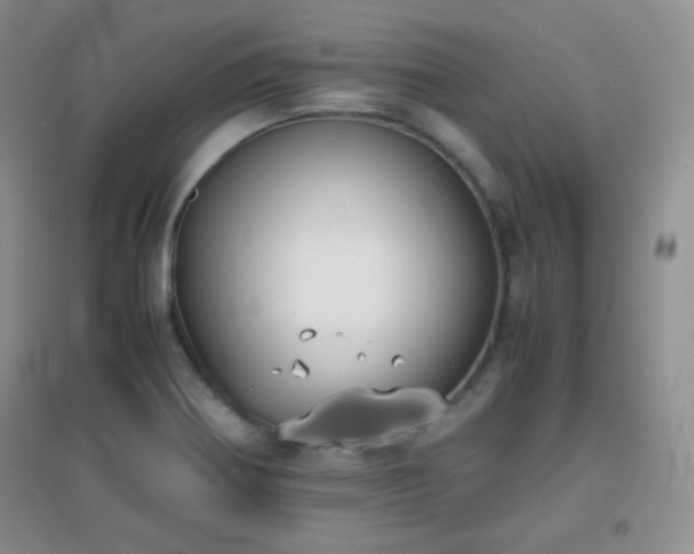 X0000096961370200802081221