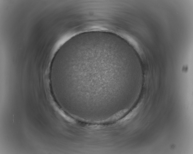 X0000096961373200802081221