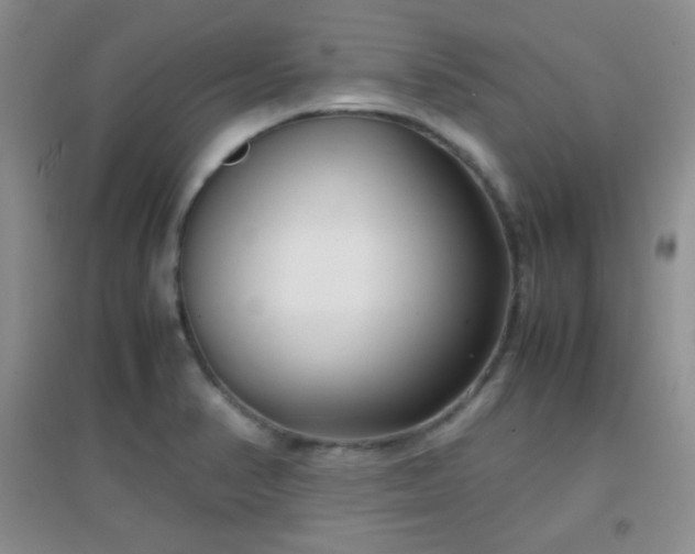 X0000096961374200802081221