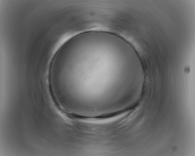 X0000096961375200802081221