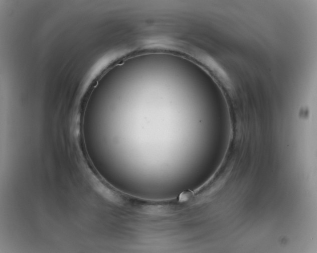 X0000096961376200802081221