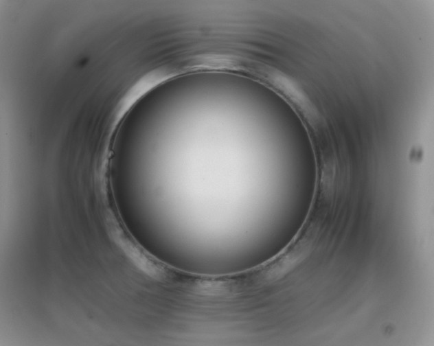 X0000096961378200802081221