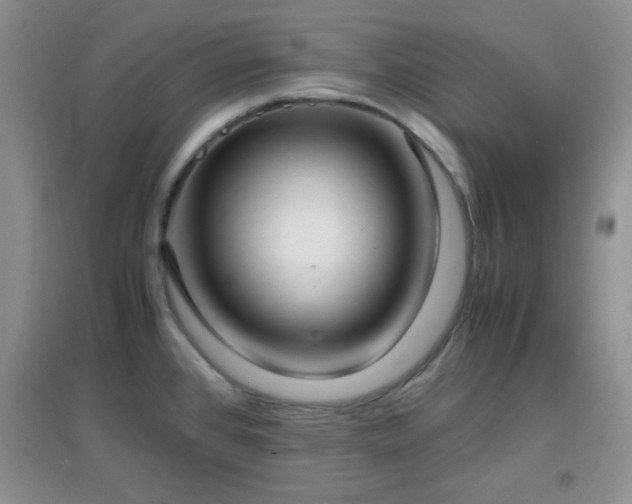 X0000096961384200802081221