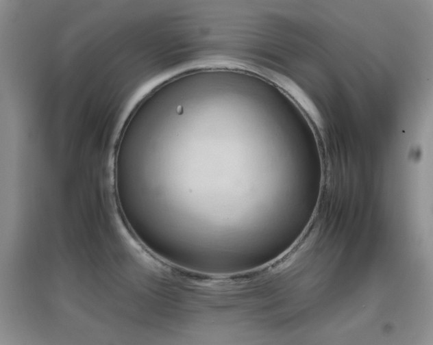 X0000096961388200802081221