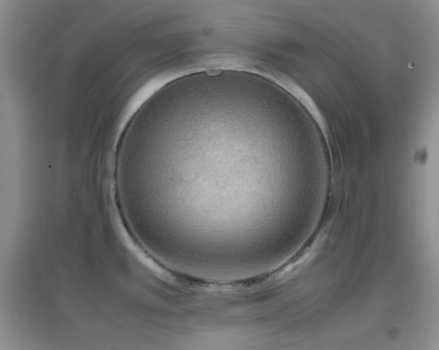 X0000096961389200802081221
