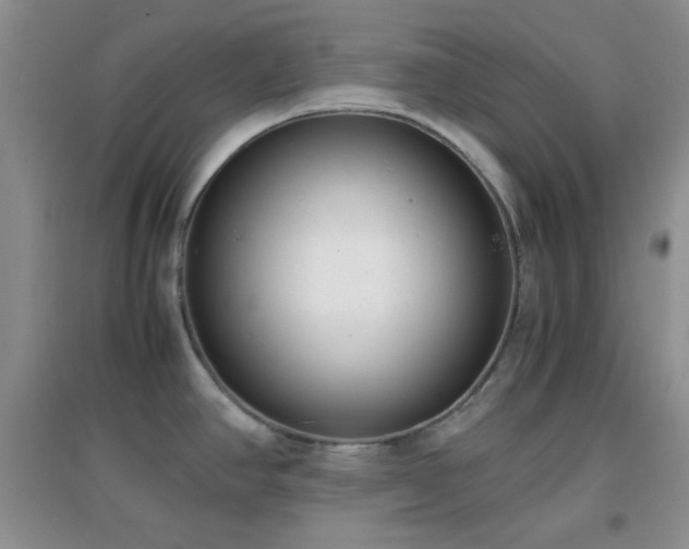 X0000096961390200802081221