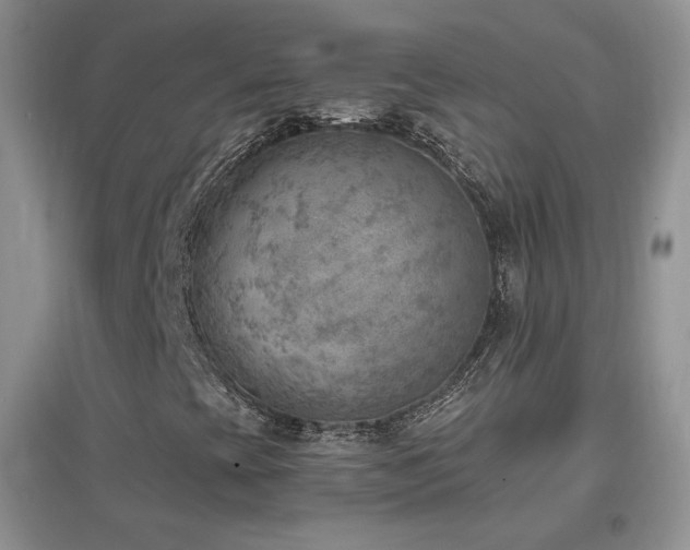 X0000096961393200802081220