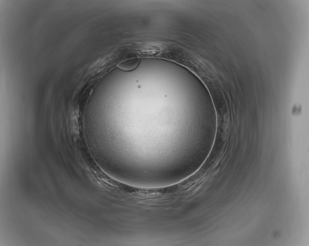 X0000096961394200802081220