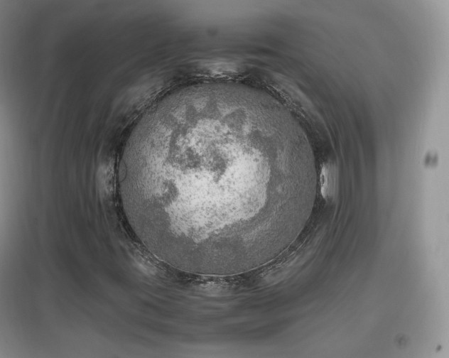 X0000096961395200802081220