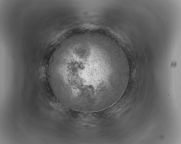 X0000096961397200802081220