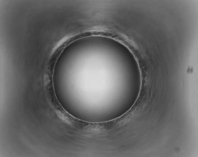 X0000096961400200802081220