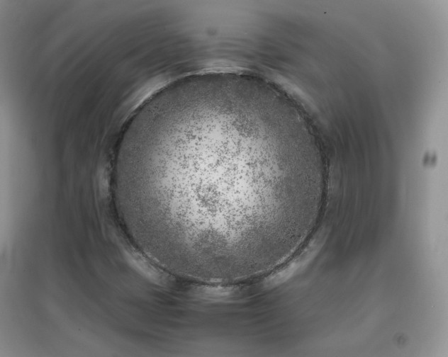 X0000096961401200802081220