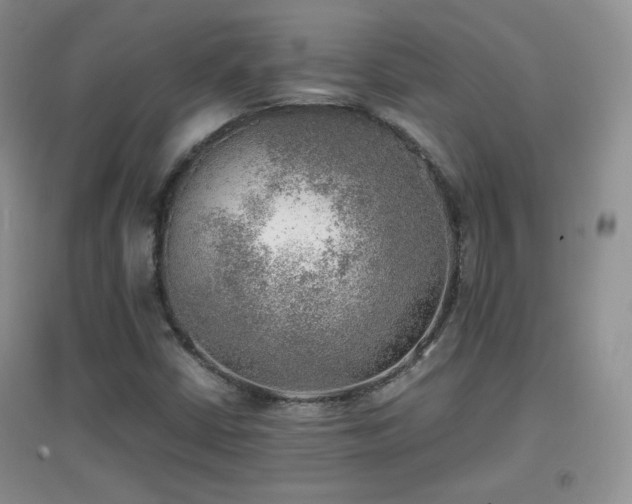 X0000096961402200802081220