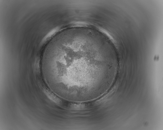 X0000096961403200802081220