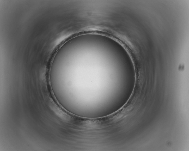 X0000096961404200802081220