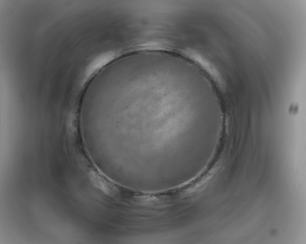 X0000096961405200802081220