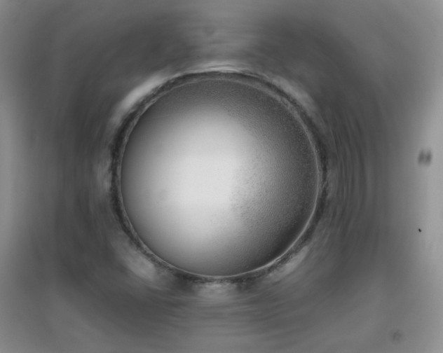 X0000096961406200802081220