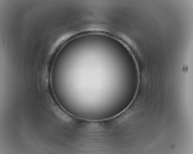 X0000096961408200802081220