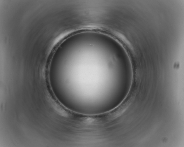 X0000096961412200802081220